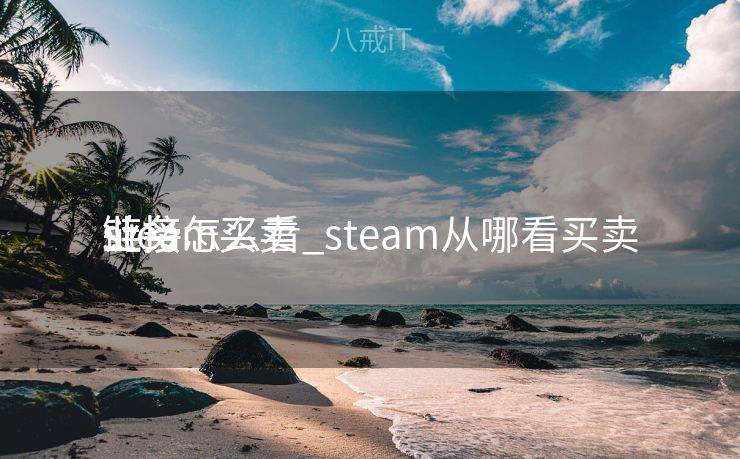 steam买卖
业务
链接怎么看_steam从哪看买卖
业务
链接