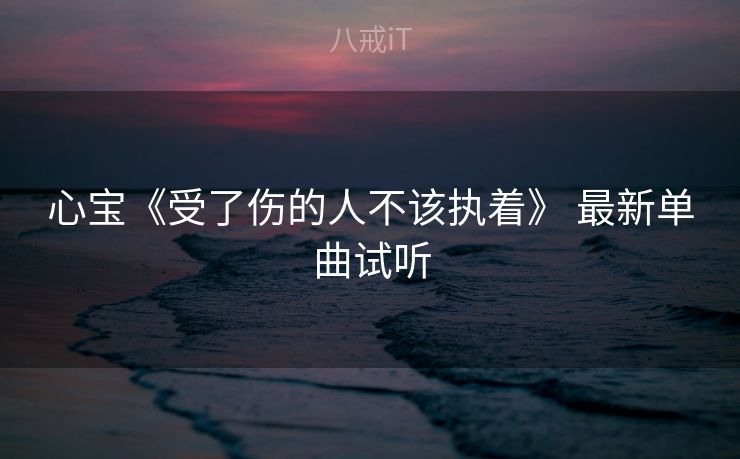 心宝《受了伤的人不该执着》 最新单曲试听