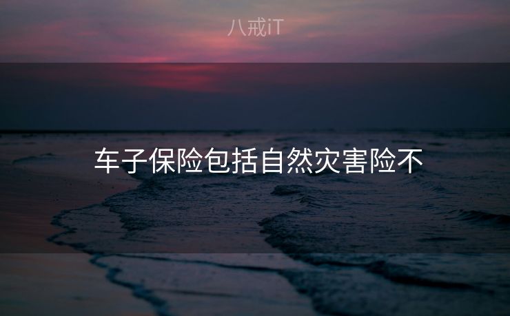  车子保险包括自然灾害险不