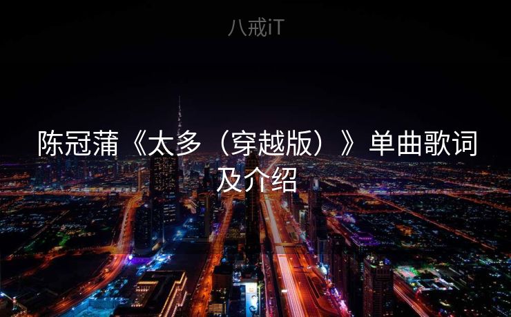 陈冠蒲《太多（穿越版）》单曲歌词及介绍