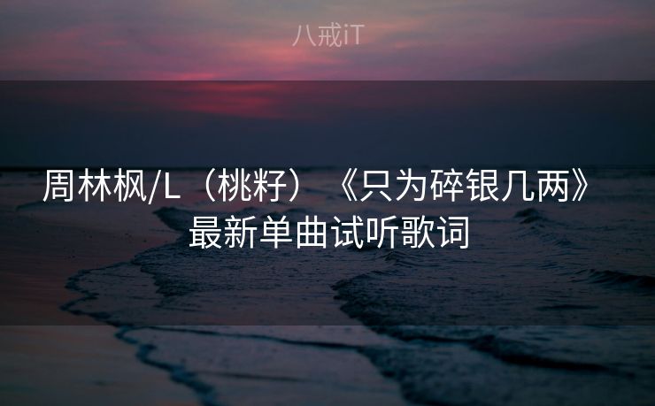 周林枫/L（桃籽）《只为碎银几两》 最新单曲试听歌词