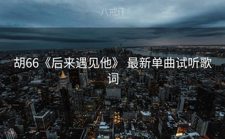 胡66《后来遇见他》 最新单曲试听歌词
