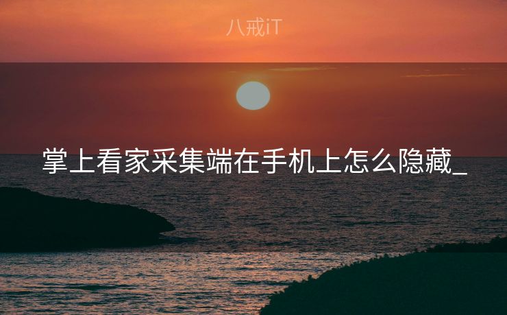 掌上看家采集端在手机上怎么隐藏_