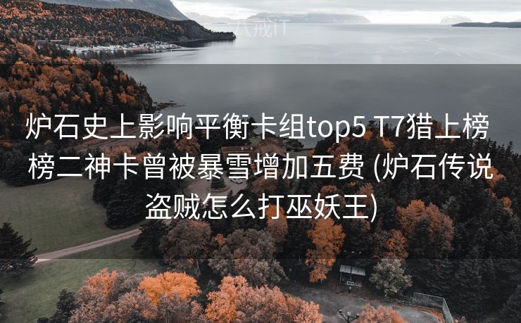 炉石史上影响平衡卡组top5 T7猎上榜 榜二神卡曾被暴雪增加五费 (炉石传说盗贼怎么打巫妖王)