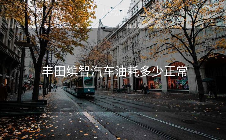  丰田缤智汽车油耗多少正常
