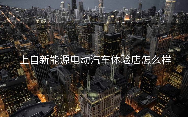  上自新能源电动汽车体验店怎么样