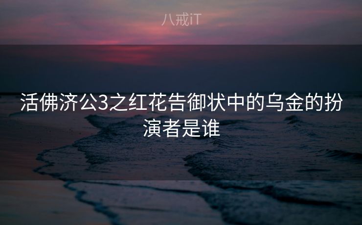 活佛济公3之红花告御状中的乌金的扮演者是谁