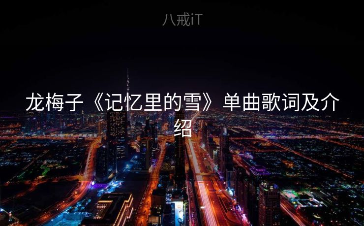 龙梅子《记忆里的雪》单曲歌词及介绍
