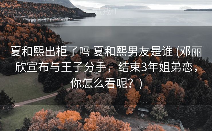 夏和熙出柜了吗 夏和熙男友是谁 (邓丽欣宣布与王子分手，结束3年姐弟恋，你怎么看呢？)