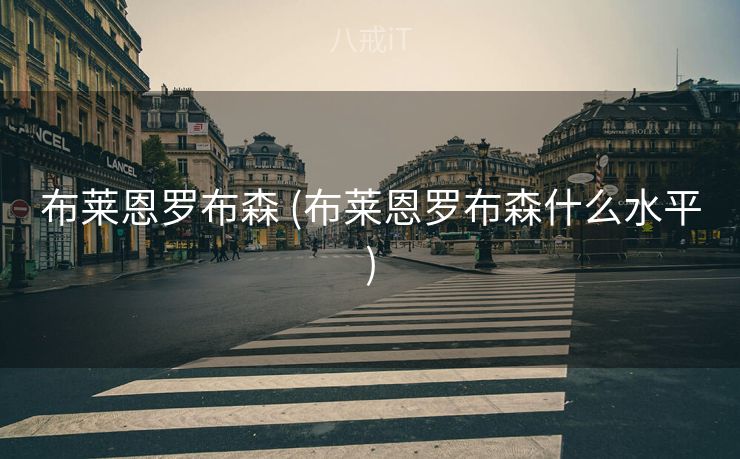 布莱恩罗布森 (布莱恩罗布森什么水平)
