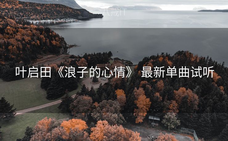 叶启田《浪子的心情》 最新单曲试听