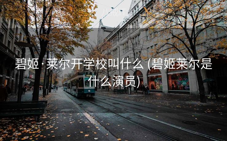 碧姬·莱尔开学校叫什么 (碧姬莱尔是什么演员)