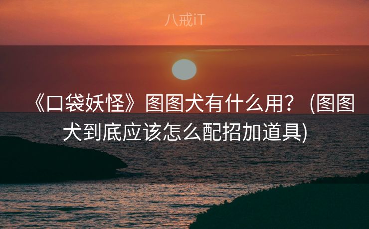 《口袋妖怪》图图犬有什么用？ (图图犬到底应该怎么配招加道具)