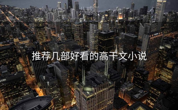 推荐几部好看的高干文小说