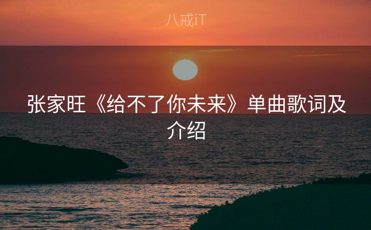 张家旺《给不了你未来》单曲歌词及介绍