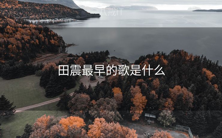 田震最早的歌是什么