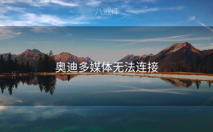 奥迪多媒体无法连接