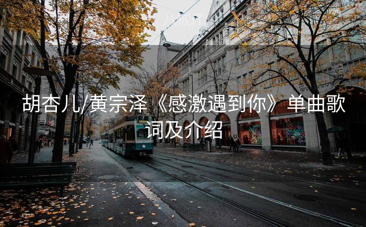 胡杏儿/黄宗泽《感激遇到你》单曲歌词及介绍