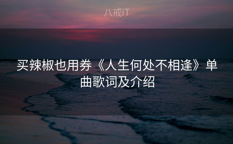 买辣椒也用券《人生何处不相逢》单曲歌词及介绍