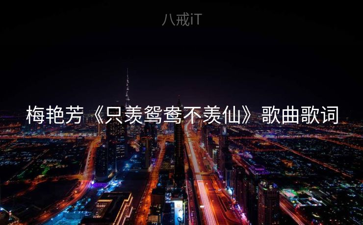 梅艳芳《只羡鸳鸯不羡仙》歌曲歌词