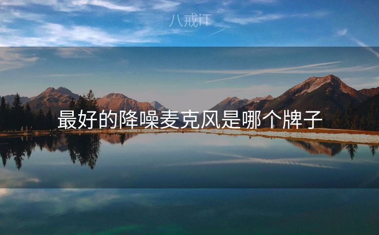 最好的降噪麦克风是哪个牌子 最好的降噪麦克风是哪个牌子