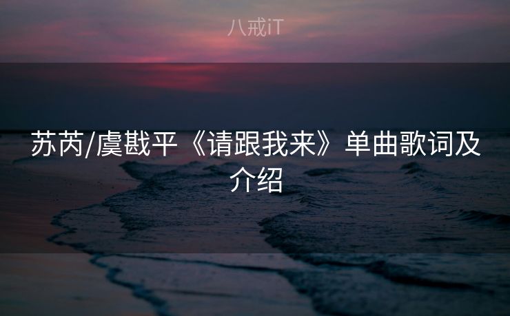 苏芮/虞戡平《请跟我来》单曲歌词及介绍