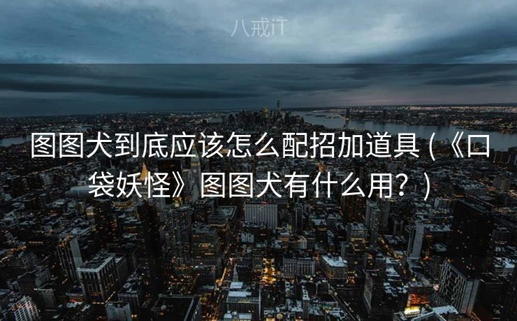 图图犬到底应该怎么配招加道具 (《口袋妖怪》图图犬有什么用？)