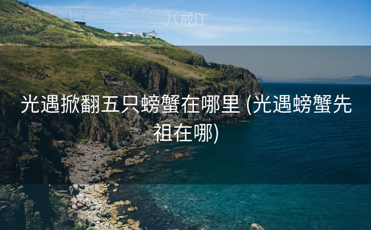 光遇掀翻五只螃蟹在哪里 (光遇螃蟹先祖在哪)