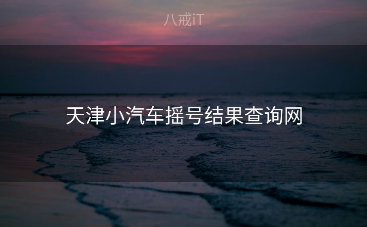 天津小汽车摇号结果查询网