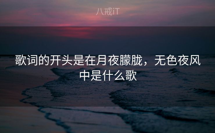 歌词的开头是在月夜朦胧，无色夜风中是什么歌