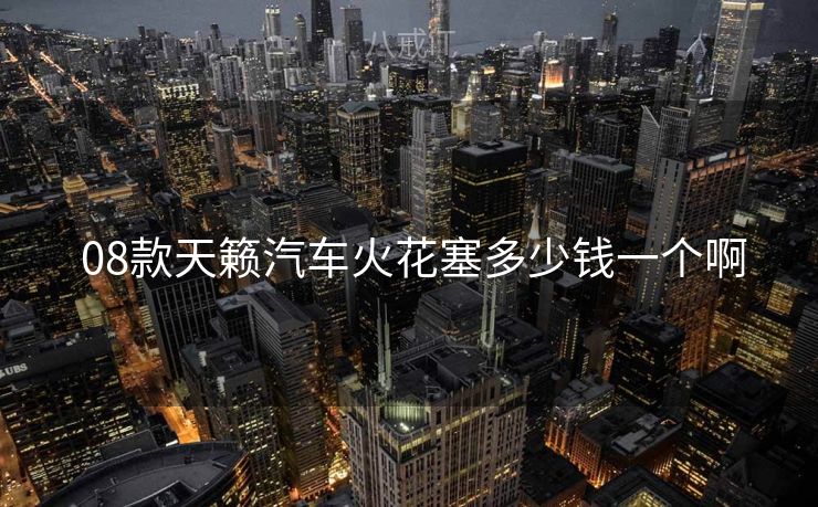  08款天籁汽车火花塞多少钱一个啊