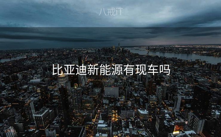 比亚迪新能源有现车吗