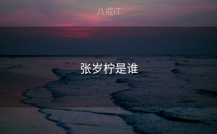 张岁柠是谁