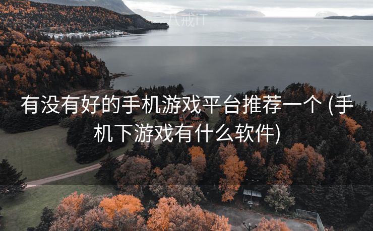 有没有好的手机游戏平台推荐一个 (手机下游戏有什么软件)