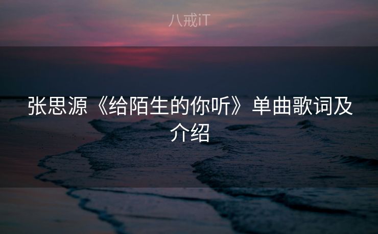 张思源《给陌生的你听》单曲歌词及介绍