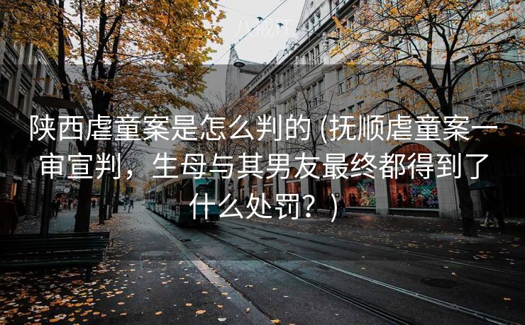 陕西虐童案是怎么判的 (抚顺虐童案一审宣判，生母与其男友最终都得到了什么处罚？)