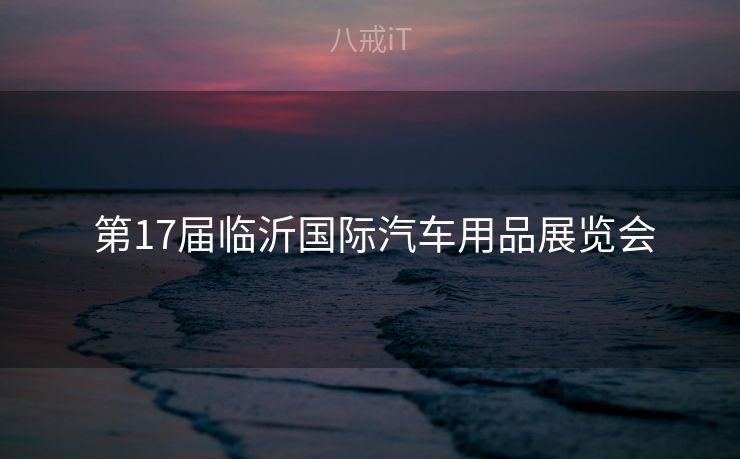  第17届临沂国际汽车用品展览会