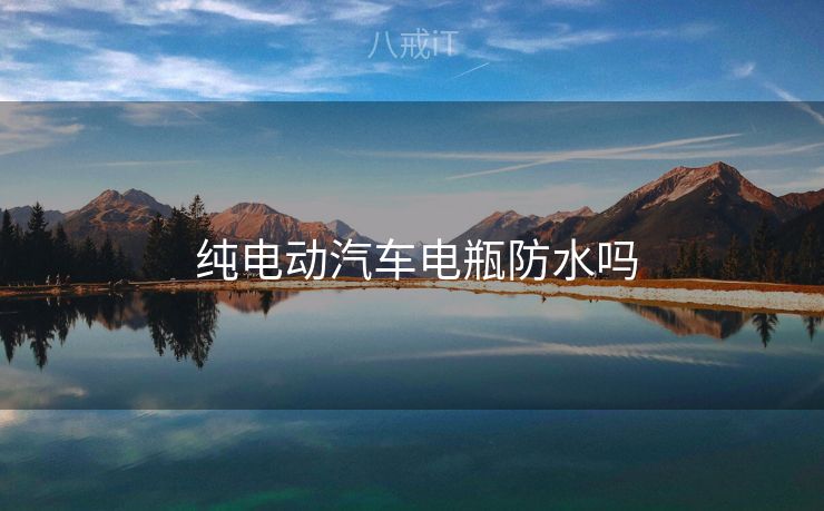  纯电动汽车电瓶防水吗