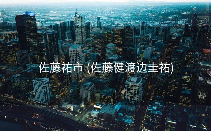 佐藤祐市 (佐藤健渡边圭祐)