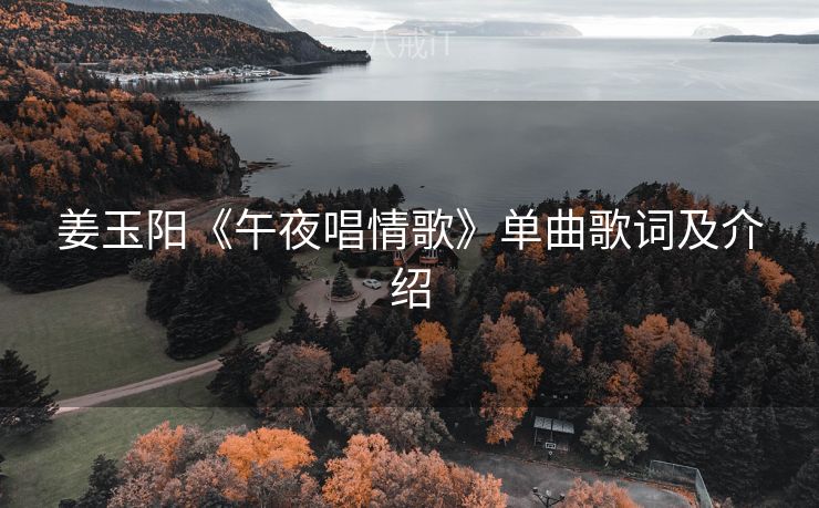 姜玉阳《午夜唱情歌》单曲歌词及介绍