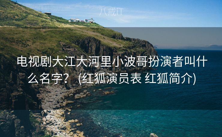 电视剧大江大河里小波哥扮演者叫什么名字？ (红狐演员表 红狐简介)