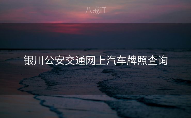 银川公安交通网上汽车牌照查询