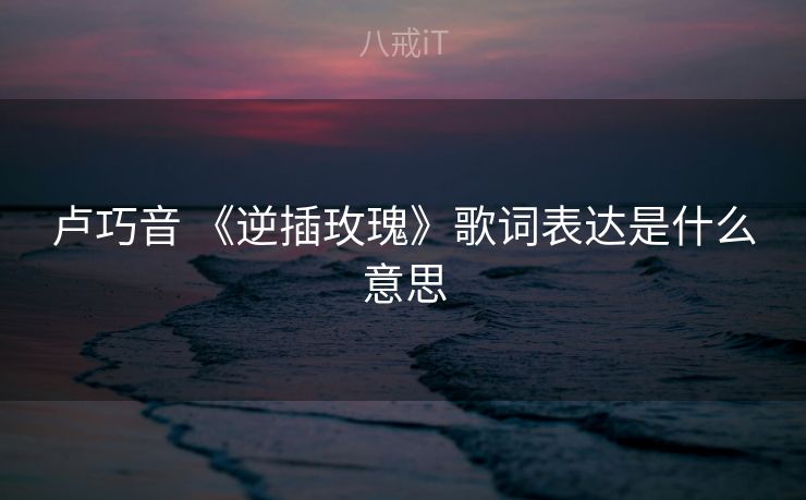 卢巧音 《逆插玫瑰》歌词表达是什么意思