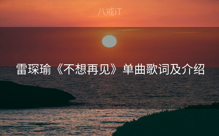 雷琛瑜《不想再见》单曲歌词及介绍