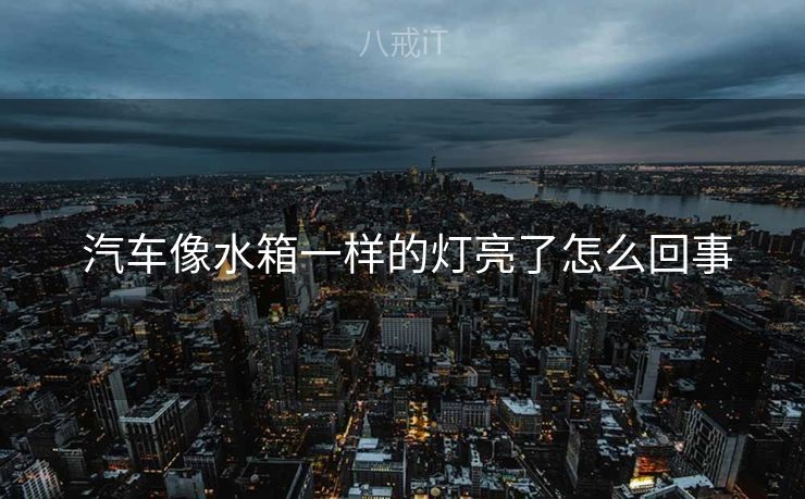  汽车像水箱一样的灯亮了怎么回事