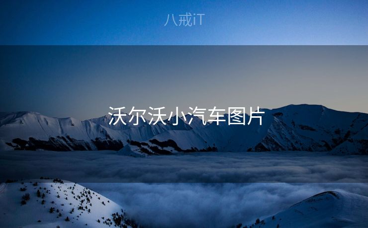  沃尔沃小汽车图片