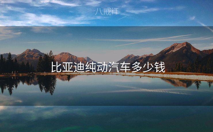  比亚迪纯动汽车多少钱