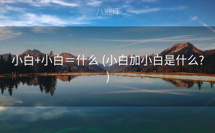 小白+小白＝什么 (小白加小白是什么?)