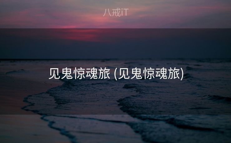 见鬼惊魂旅 (见鬼惊魂旅)