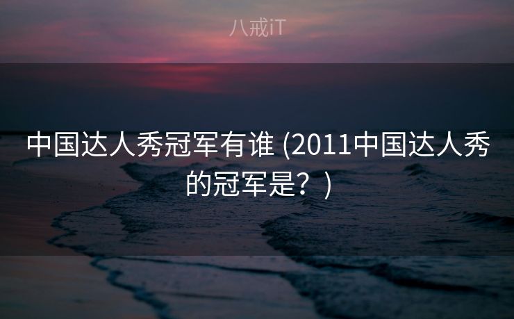 中国达人秀冠军有谁 (2011中国达人秀的冠军是？)